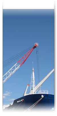Horizon Stevedoring
